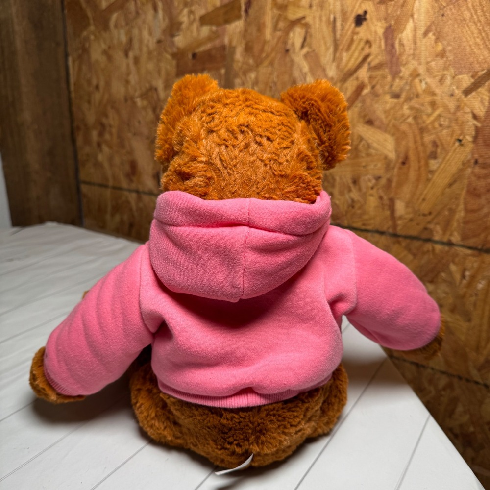 "Kiss Me" Plush Teddy Bear in Pink Hoodie Outfit 12" Valentine's Romance Gift - Picture 4 of 5